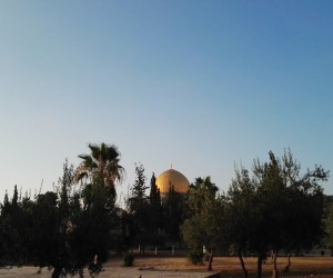 54. Al Masjid Al Aqsa - Dome of the Rock in the Trees